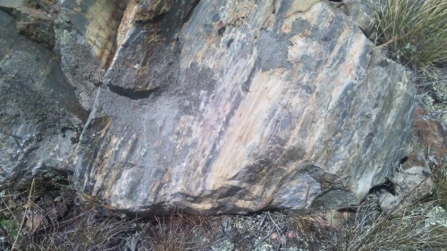 Гигантские зелёные валуны для ландшафтного дизайна весом более 5 тонн купить в Астрахани