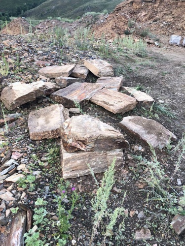 Плитняк кора дерева 50-100мм для пошаговых дорожек купить в Астрахани